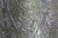 Salterforth fibreglass roof work